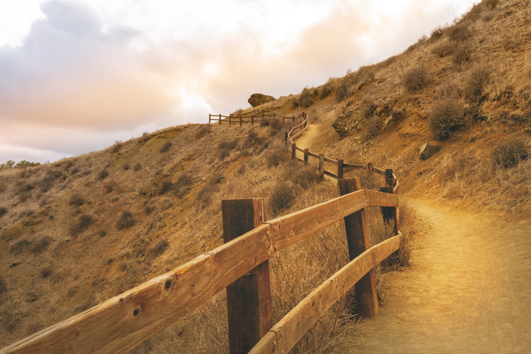 retaining wall contractors california in Retaining Wall Contractors Near Me
