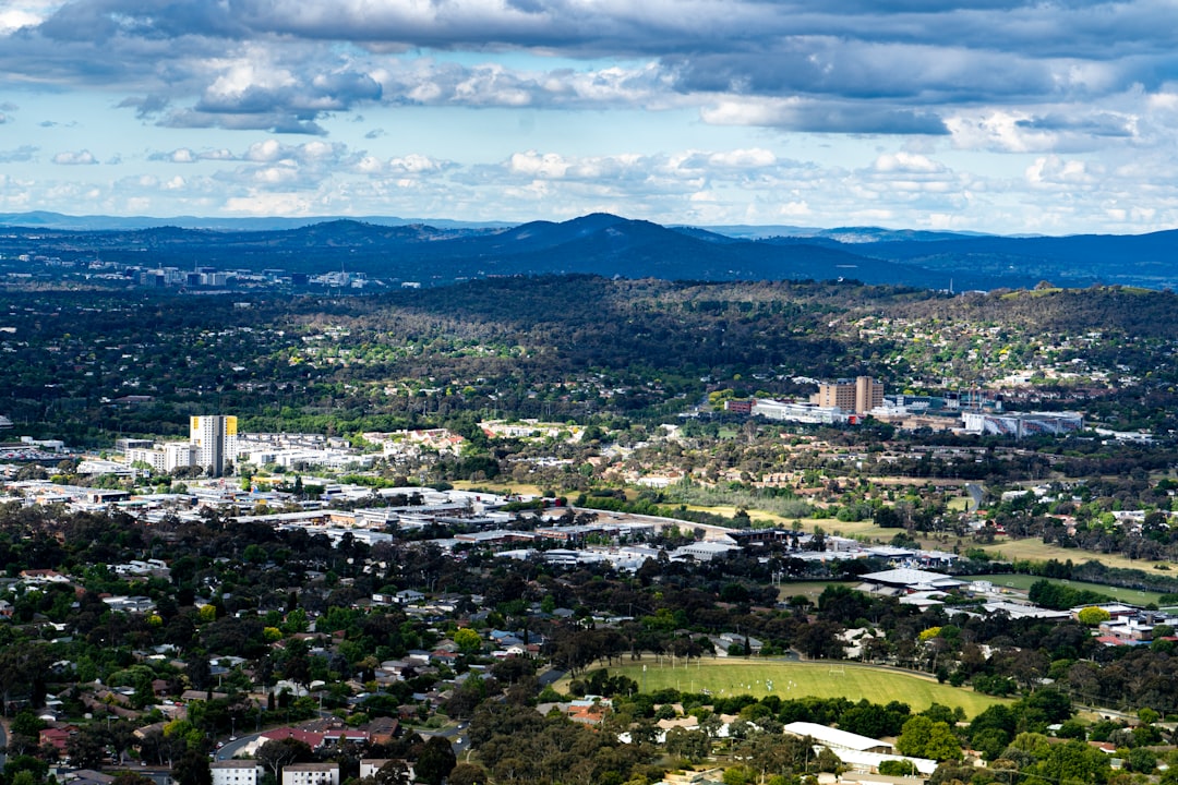 tree removal canberra in Top Tree Removal Canberra