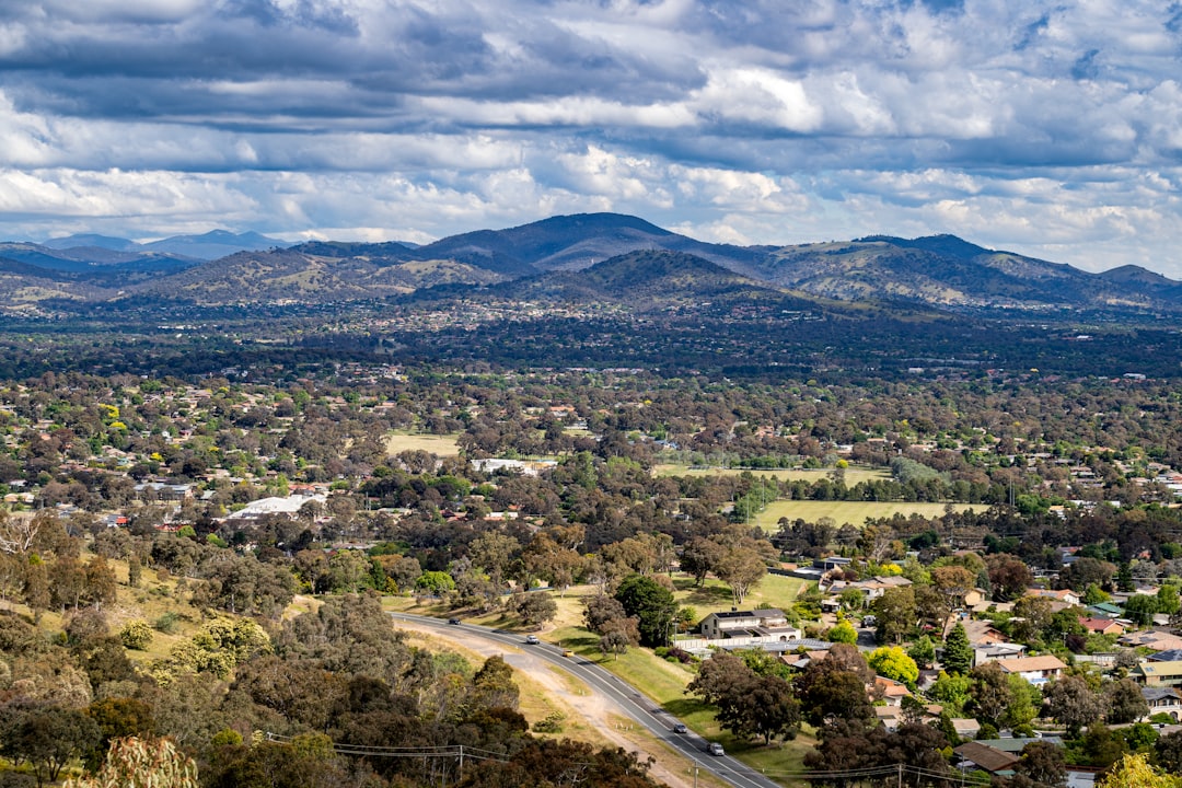 tree removal services canberra in Top Tree Removal Canberra