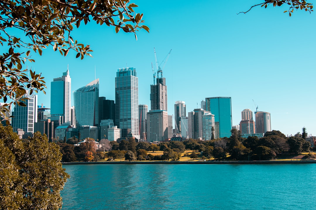 tree removal sydney in Sydney Tree Services